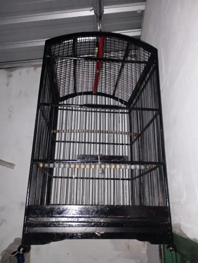 Sangkar burung murah