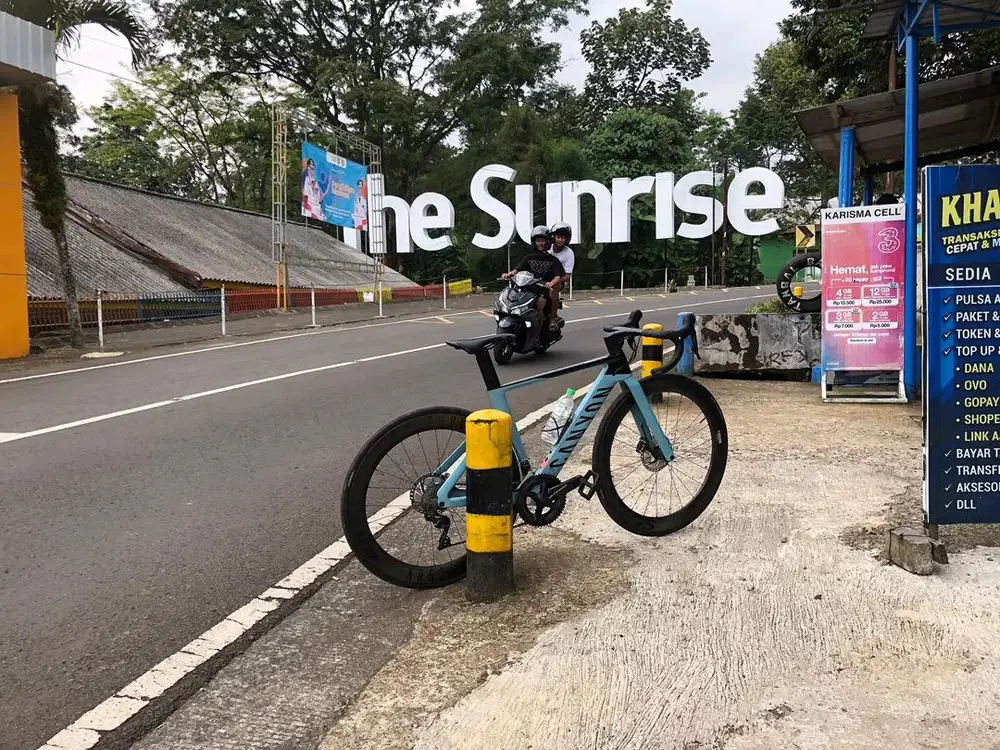 Sepeda Roadbike Canyon
