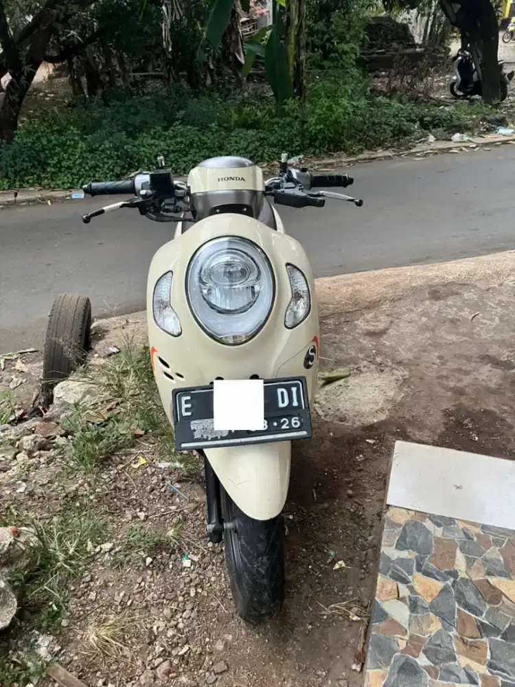 Jual scoopy donat