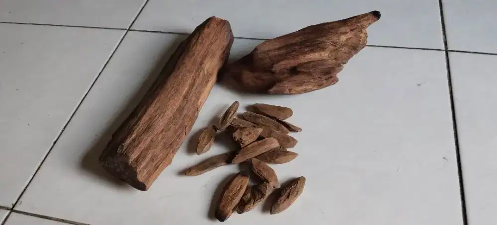 Kayu Gaharu asal Papua