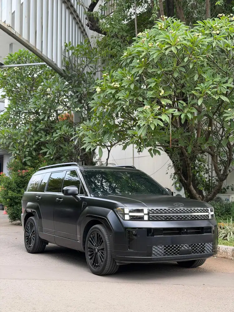Santafe Hybrid 2024