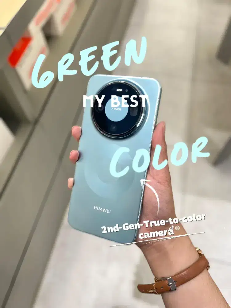 Mate 80 Pro Sage