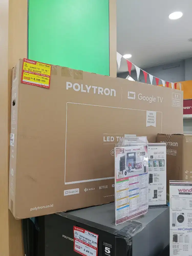 TV Google Polytron