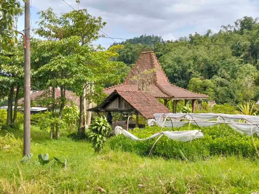 Tanah Kafe dan Hunian Gunungsari Bumiaji Kota Batu