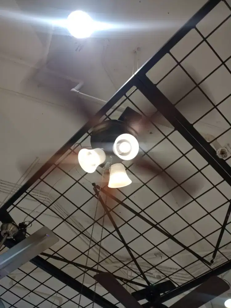 CEILING FAN CONTEMORA