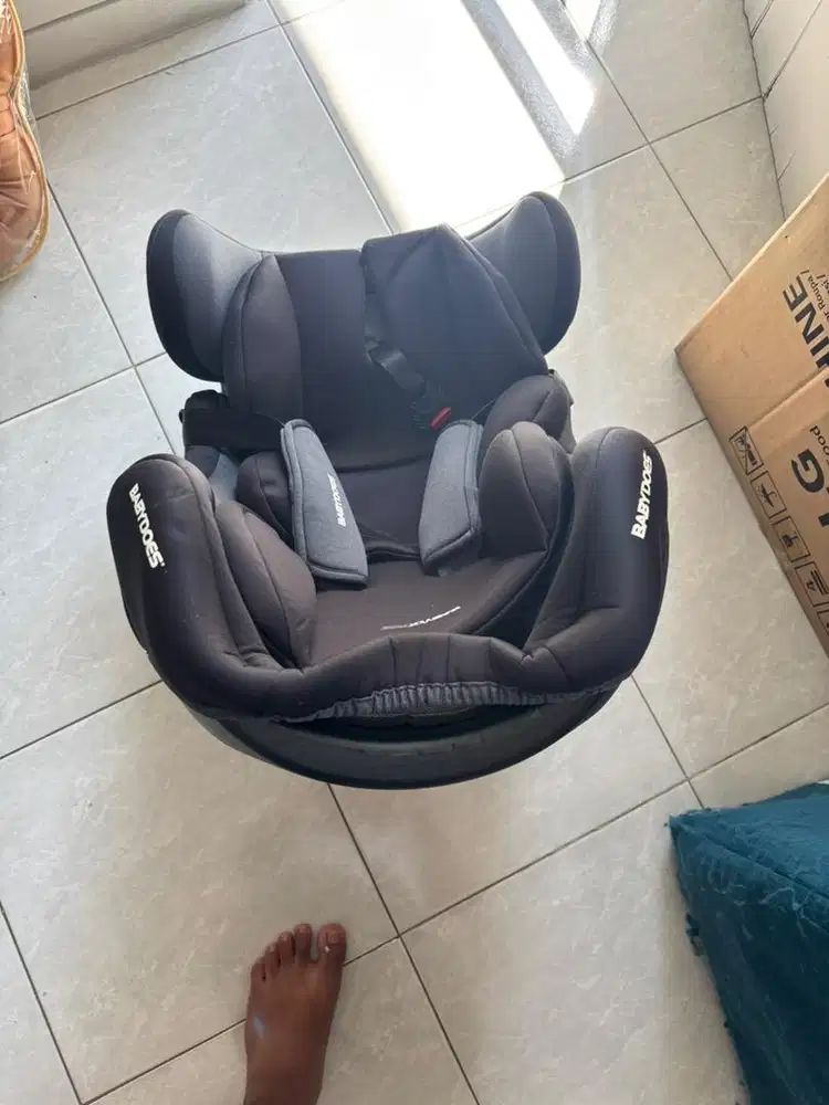 Car Seat Babydoes Driver