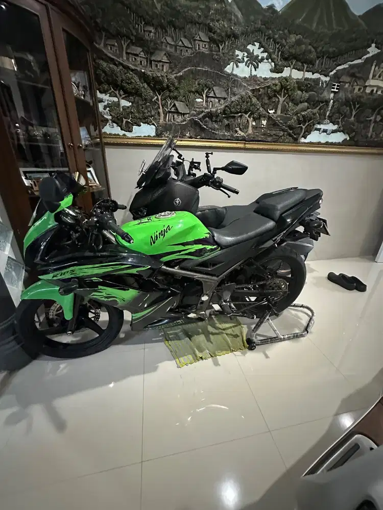 Ninja rr 2012 super kips