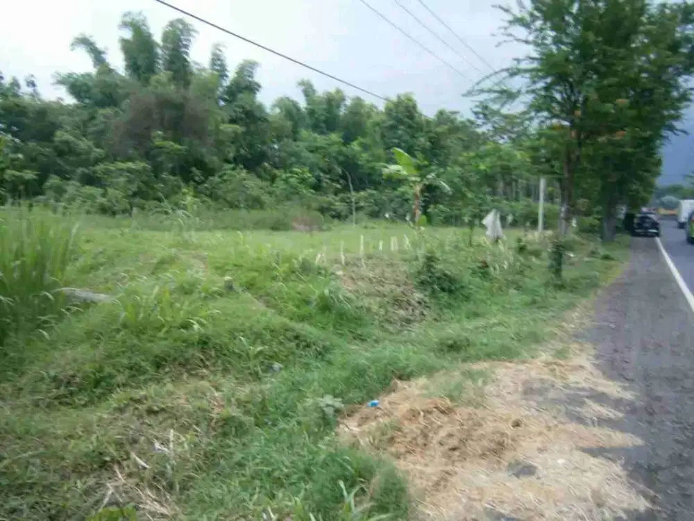 Tanah Malasan Tegal Siwalan Probolinggo Murah. Ron a3014