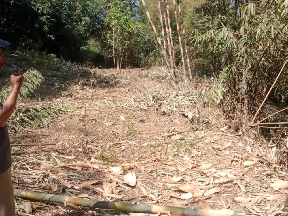 dijual tanah murah tegalan sumberjo