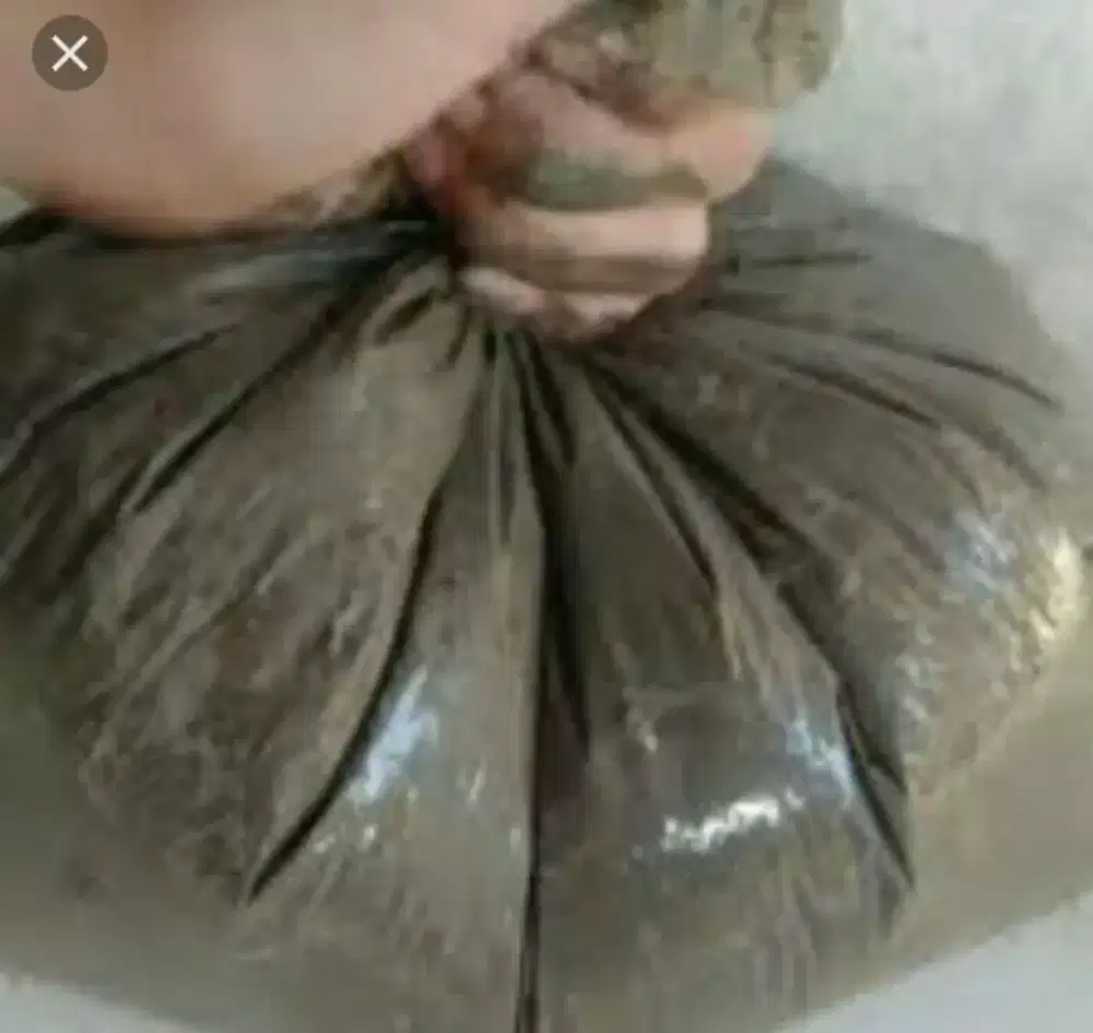 Lumpur sawah 2 kilo