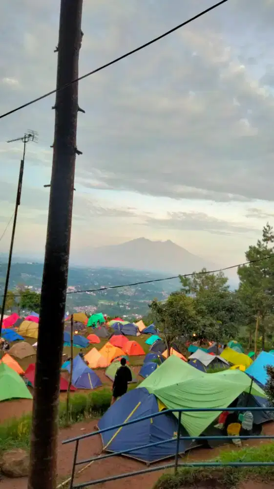 CARI KERJA HALAL