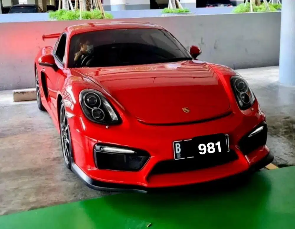 2013 Porsche Cayman 981 terawat