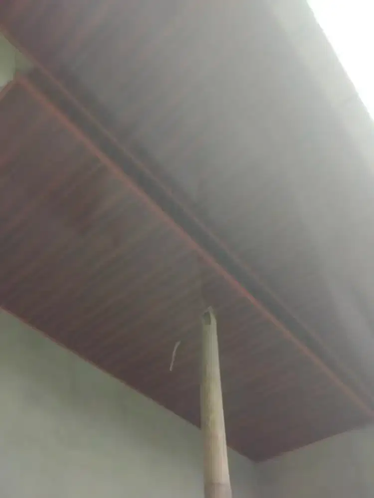 Plafon gypsum dan pvc