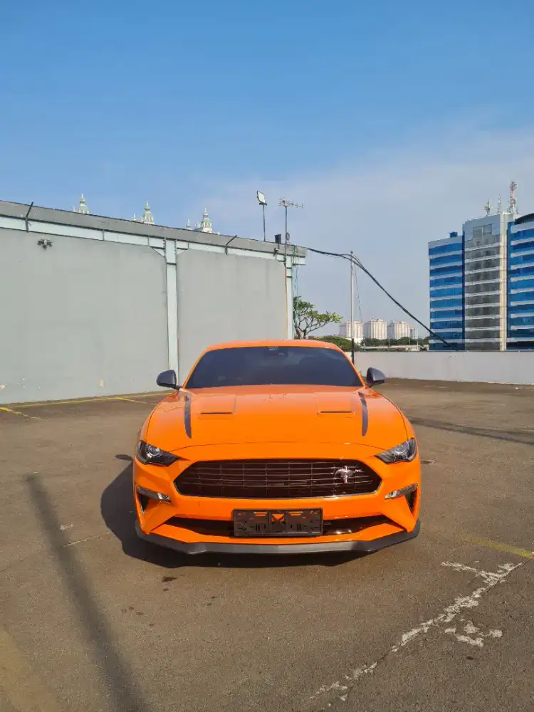 Mustang 2.3 Tahun 2023