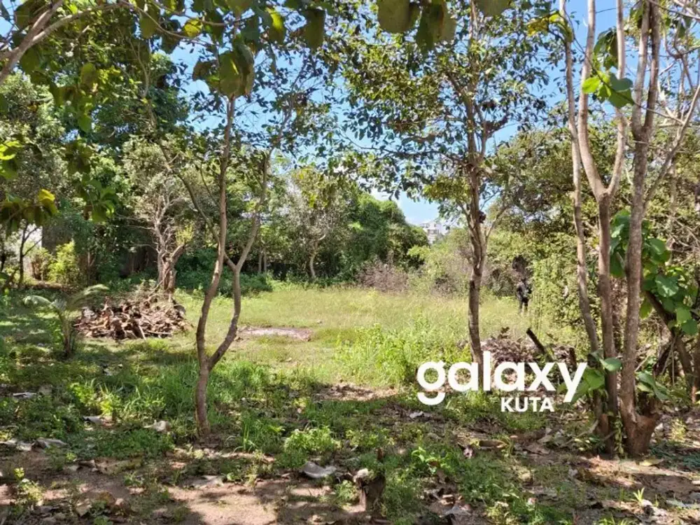 DIJUAL TANAH PREMIUM STRATEGIS DI KUTUH BADUNG
