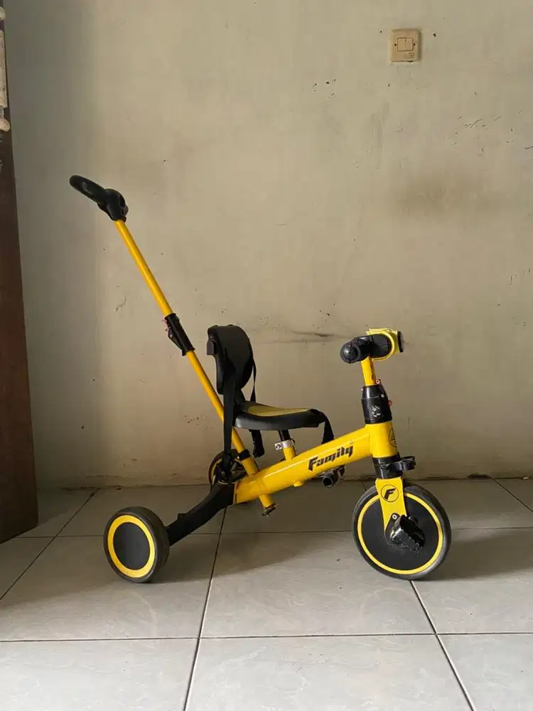 Sepeda Anak Family F702