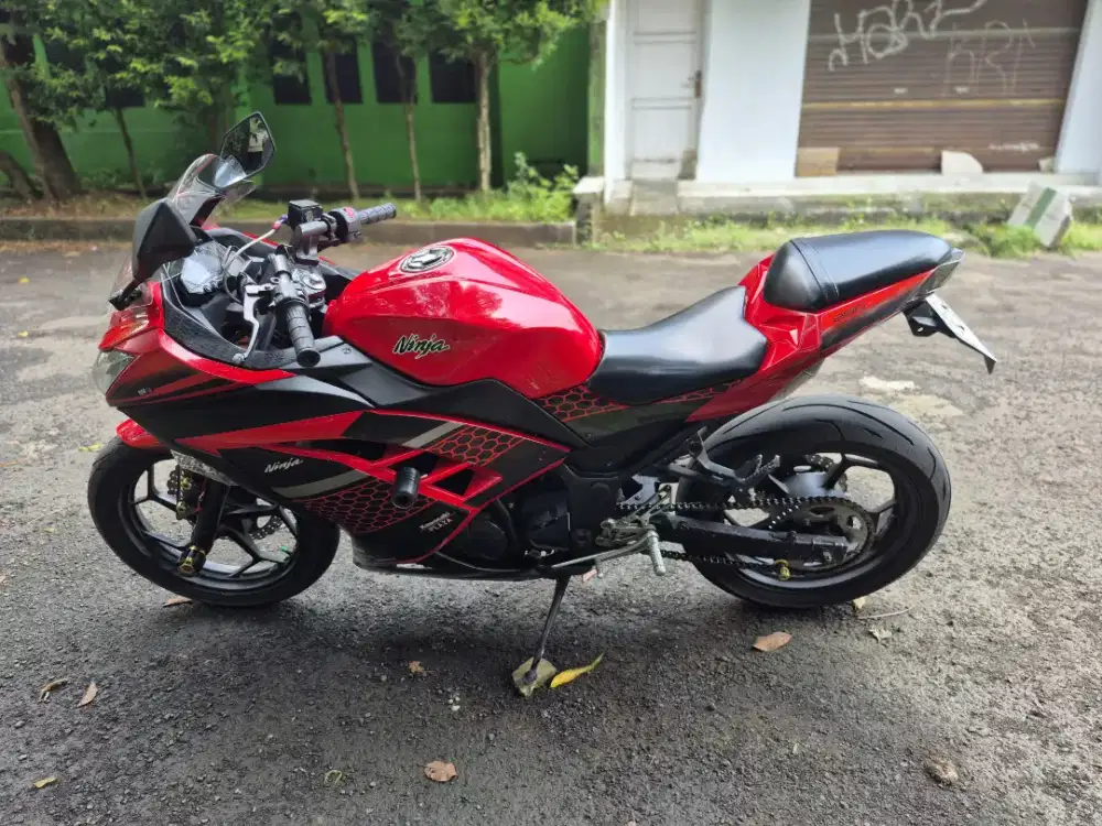 Ninja 250 fi 2013 Joos