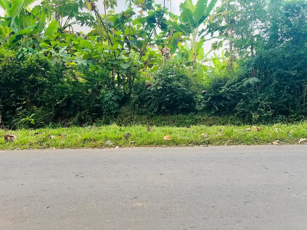 Tanah 375 Juta Strategis Buka Usaha Karanganyar