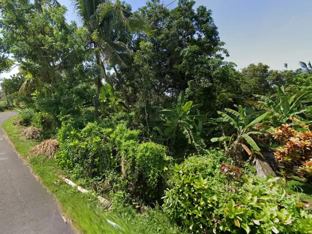 Tanah Strategis 5,5 Are Dijual di Selemadeg, Tabanan Area