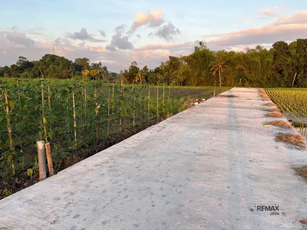 Tanah Premium 5 Are Dijual di Area Strategis Kedungu, Tabanan