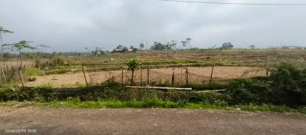Jual Lahan Sawah bisa buat Villa