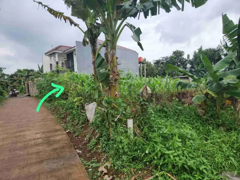 jual tanah