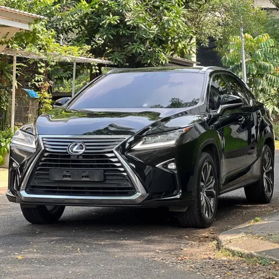 (CASH) Lexus RX300 2018