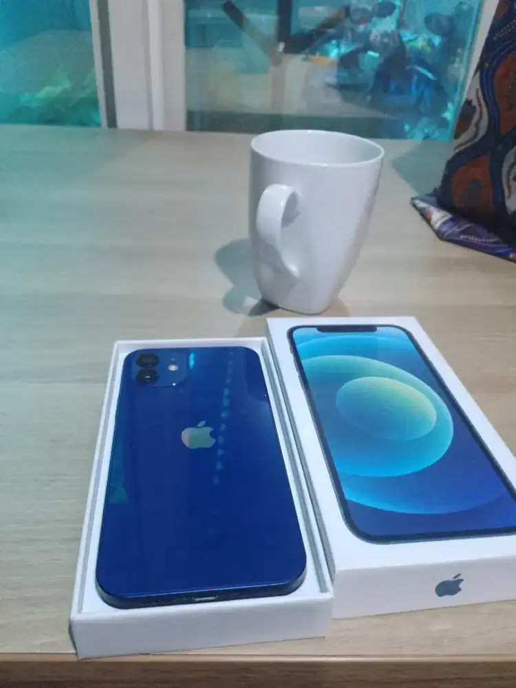 iPhone 12 256 GB inter bea cukai