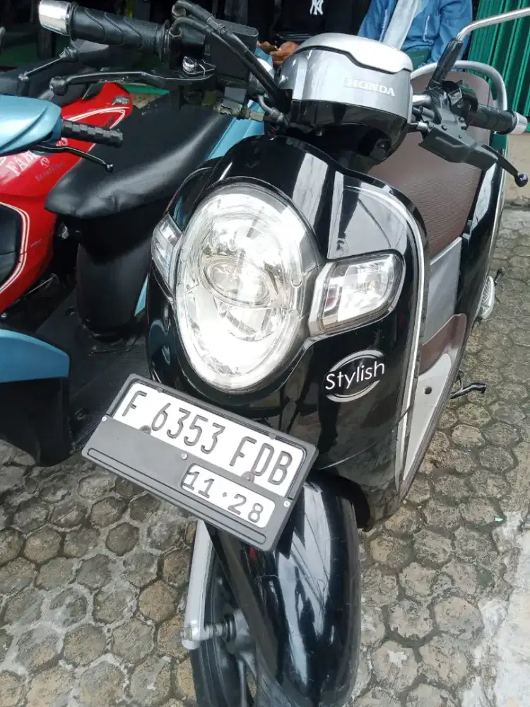 SCOOPY 2018  gress mulus