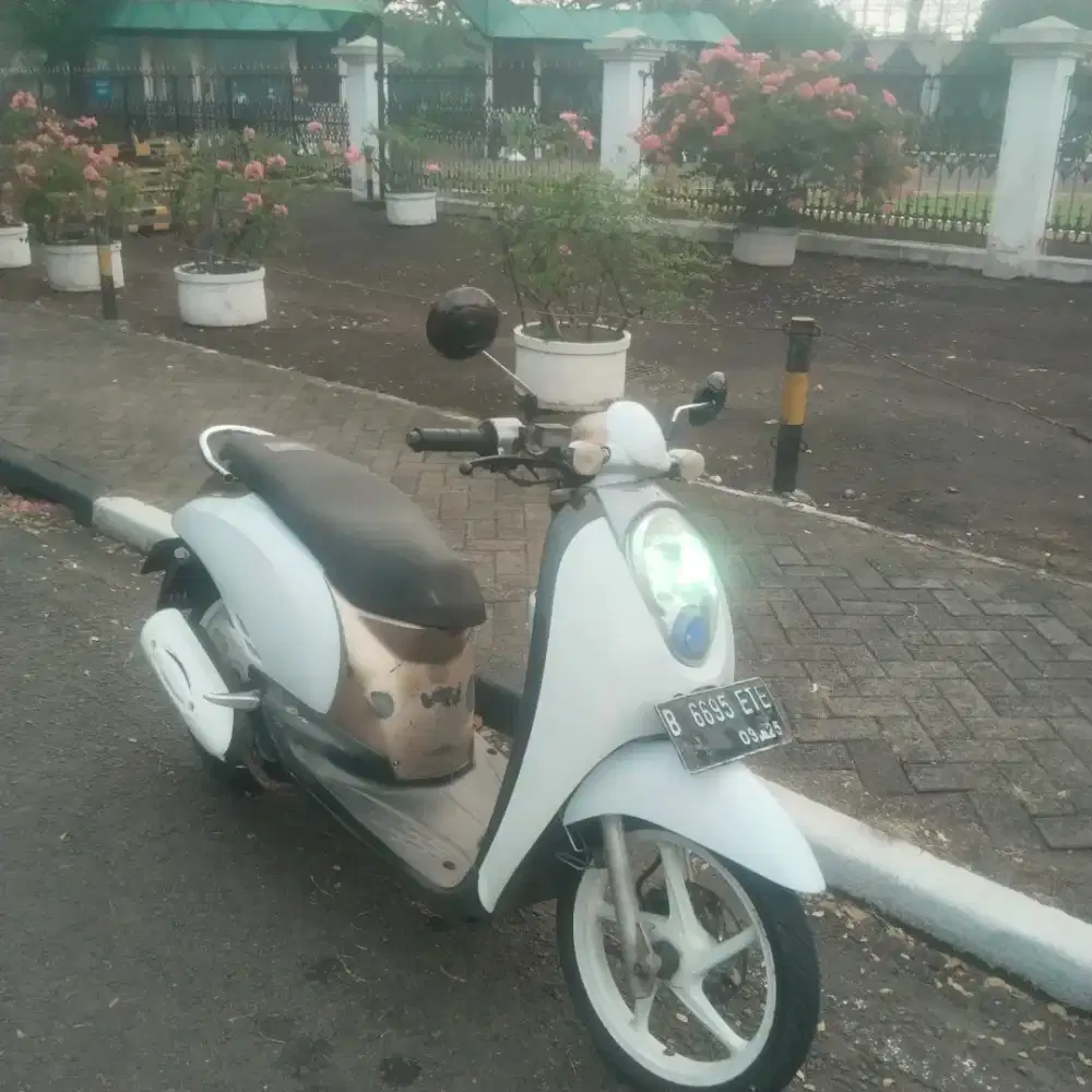 honda scopy 2010