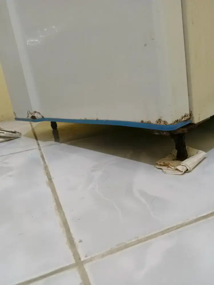Kulkas 1 Pintu Toshiba Jazz Glacio Jazz Segel
