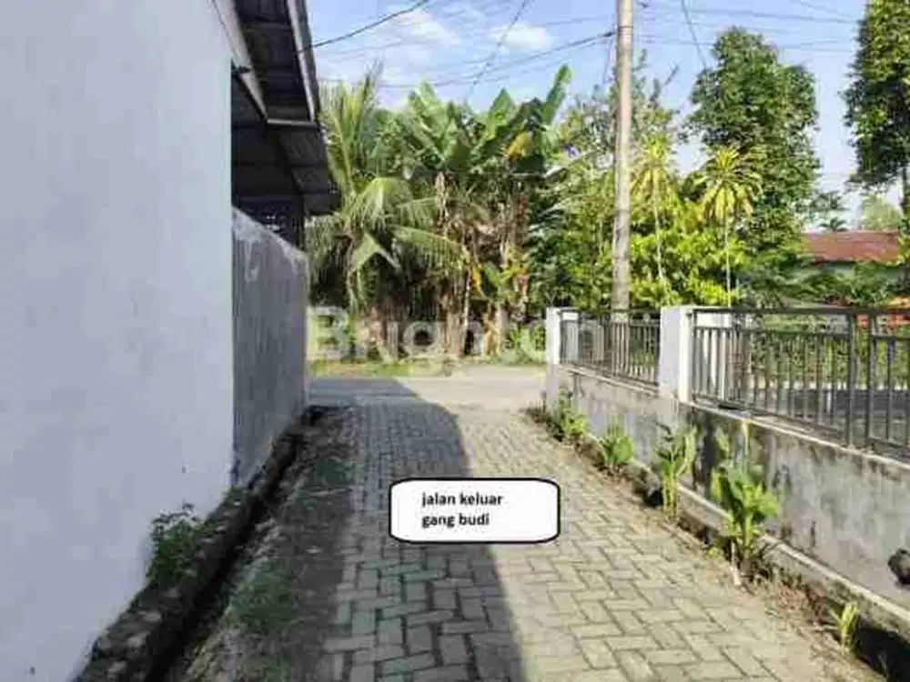 TANAH BATANG KUIS