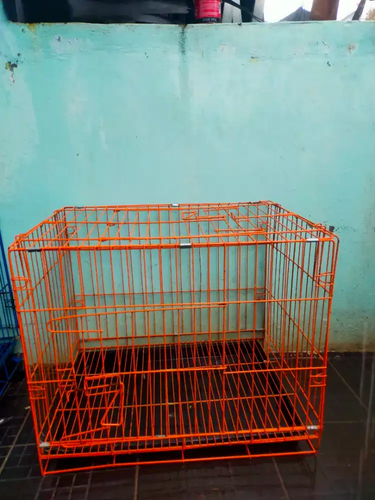 Kandang kucing.