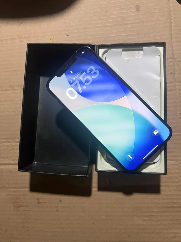 iphone 12 pro max 256 gb