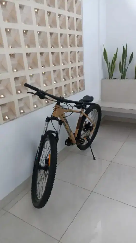 Sepeda United Miami 4.00