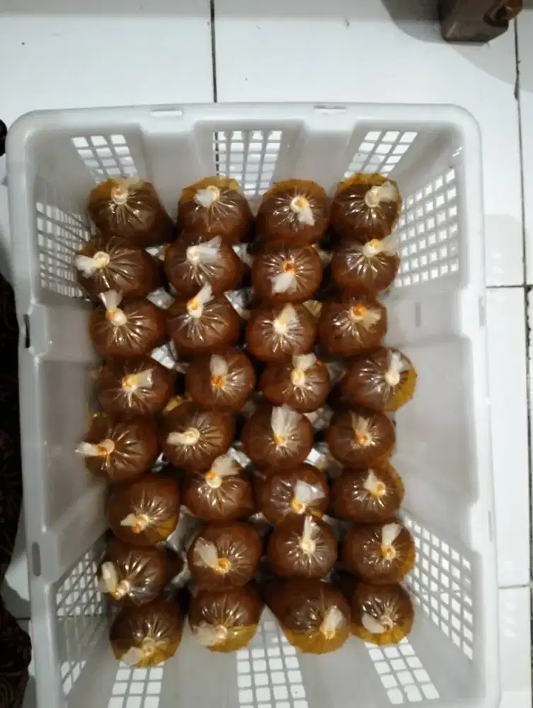 Bumbu rendang asli padang