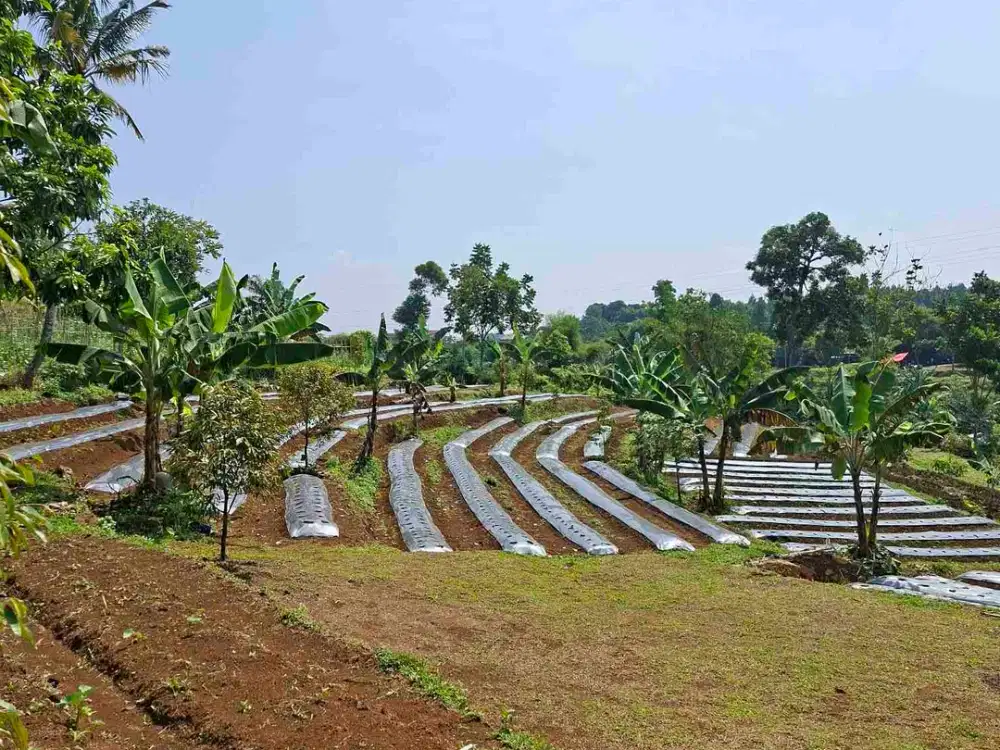 Di jual tanah sangat cocok untuk villa dan Resort