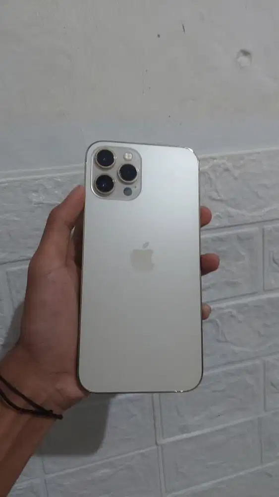 IPHONE 12 PRO MAX