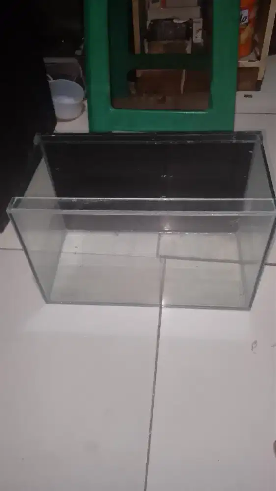 Akuarium ikanmini