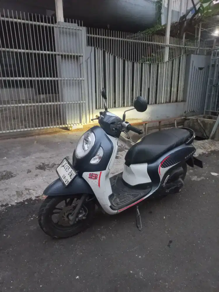 Hobda Scoopy 2024 fashion
