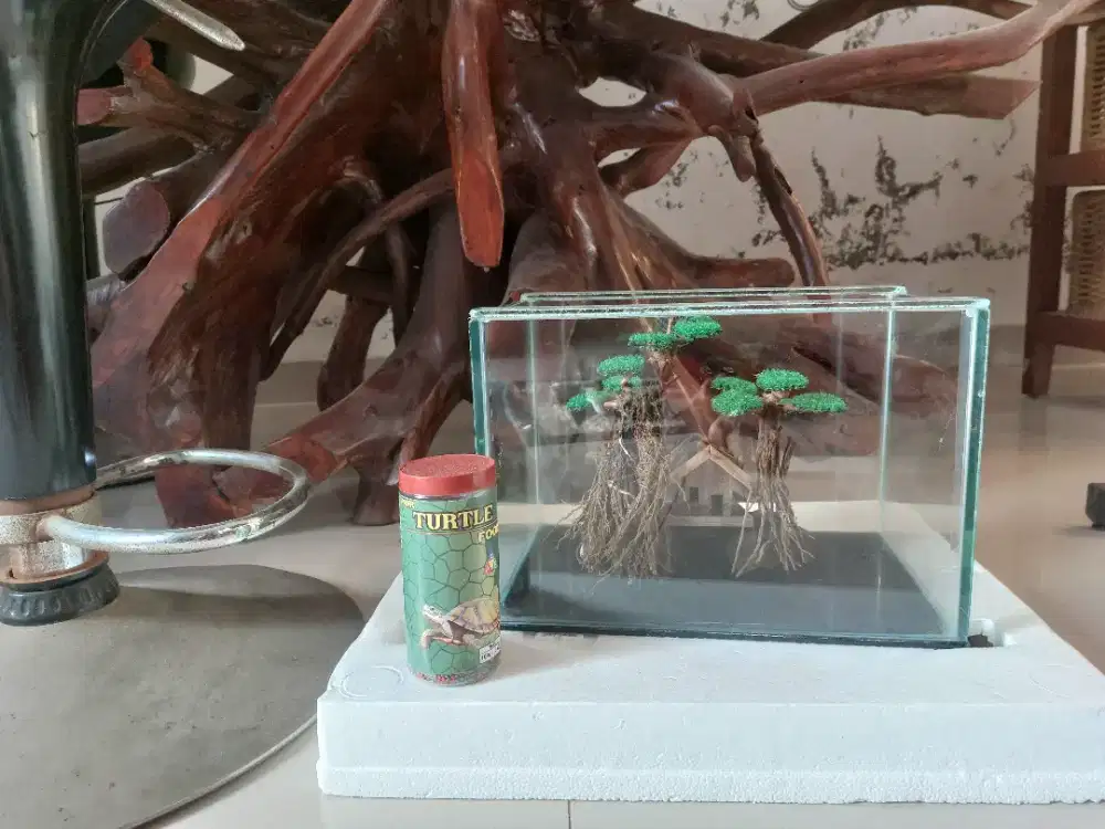 Aquarium Kaca Pamulang Cakep