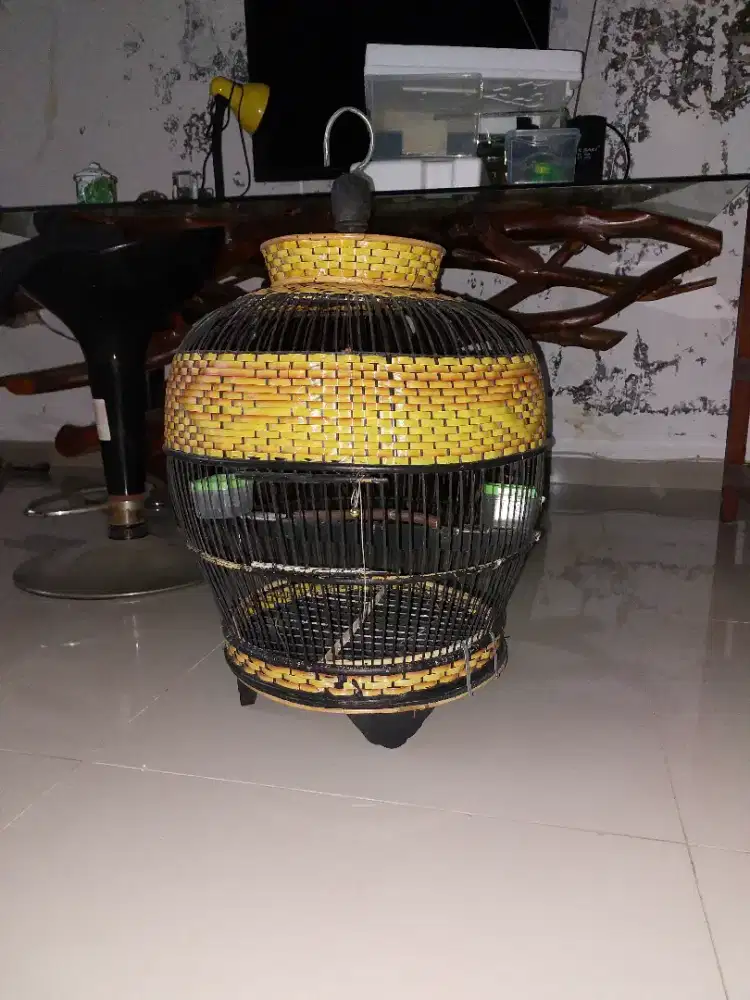 Kandang Sangkar Tekukur Puter Pamulang