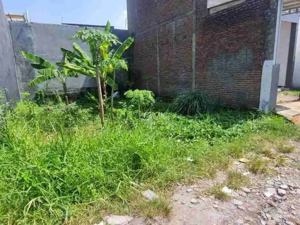 Tanah Murah Lokasi Masangan Kulon Sukodono Sidoarjo