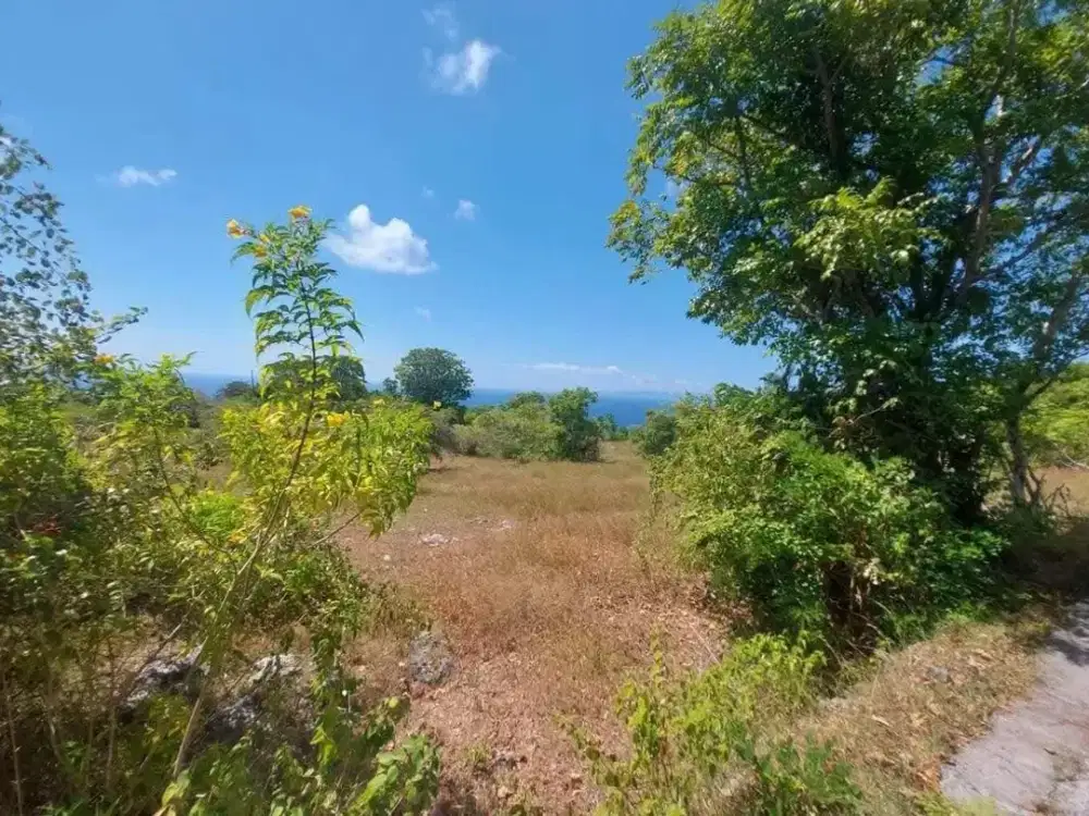 Dijual Kavling Tanah Lot Bali Lokasi Strategis Dekat Jalan Utama
