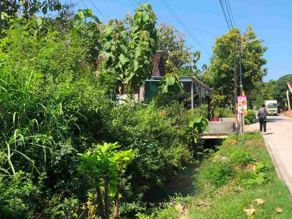 tanah pinggir jl DPU dekat waduk Brambang Sragen