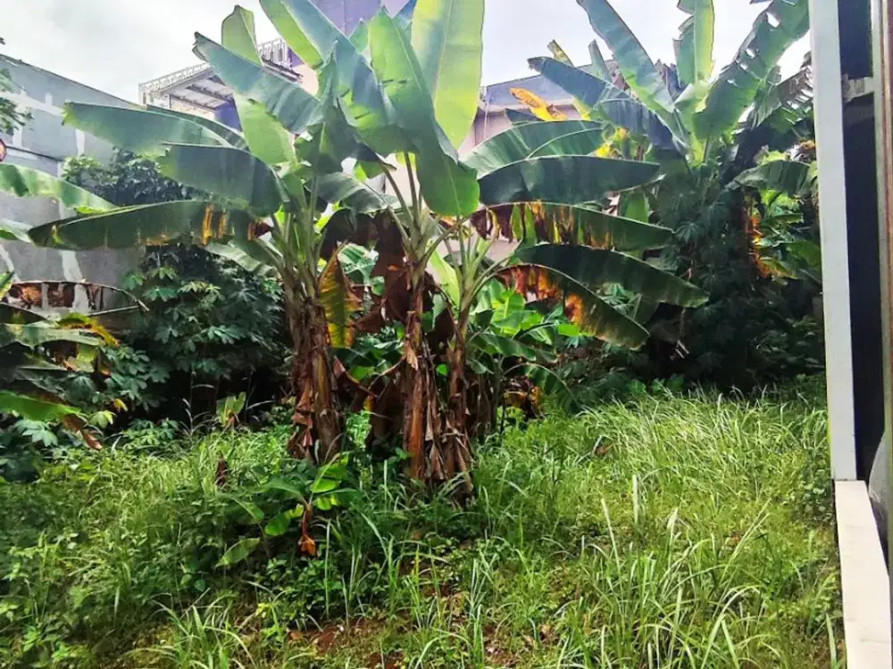 Dijual Tanah Kavling di bawah NJOP dalam Kompleks Telaga Jambu Sawangan Depok