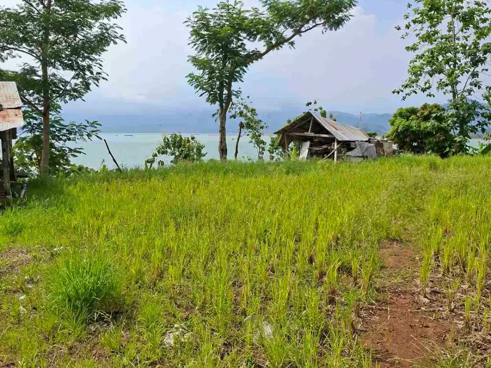 Di jual tanah premium pinggir pantai sangat cocok untuk hotel Resort dan cafe kekinian