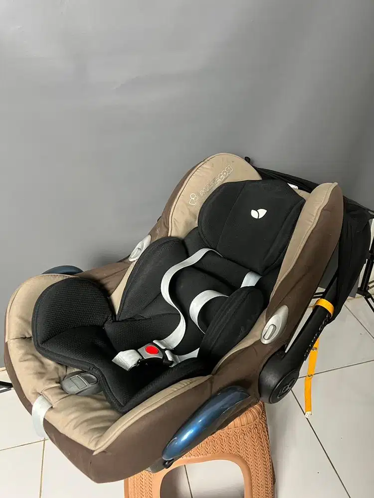 Carset JOIE maxi•cosi