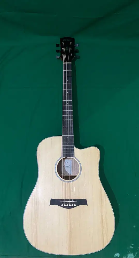 Gitar Akustik OSTEN TE-35/N (String)
