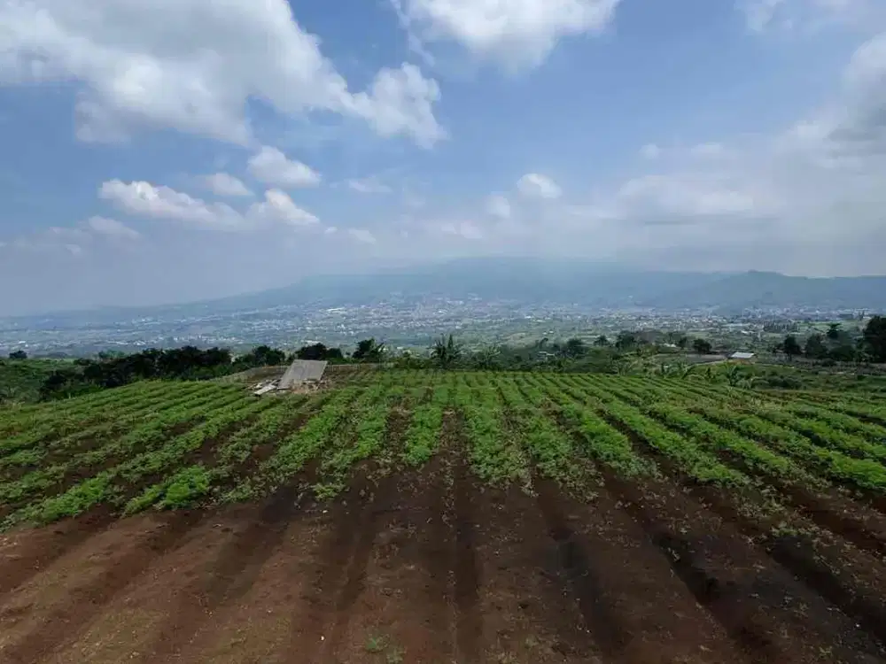 KEBUN MURAH LUAS BUMIAJI KOTA BATU